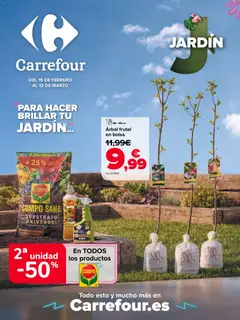 Vista previa del folleto de la tienda Carrefour válido desde el 19/02/2026 