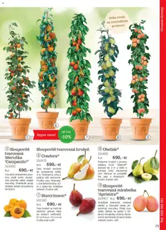 Náhled nabídky: Starkl Katalog podzim 2025 platný od 01.08.2025 | Strana: 29