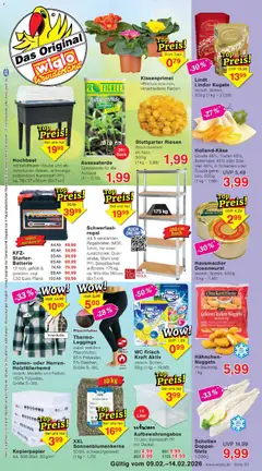 Vorschau von dem Prospekt des Geschäftes Wiglo Wunderland, gültig ab dem 09.02.2026