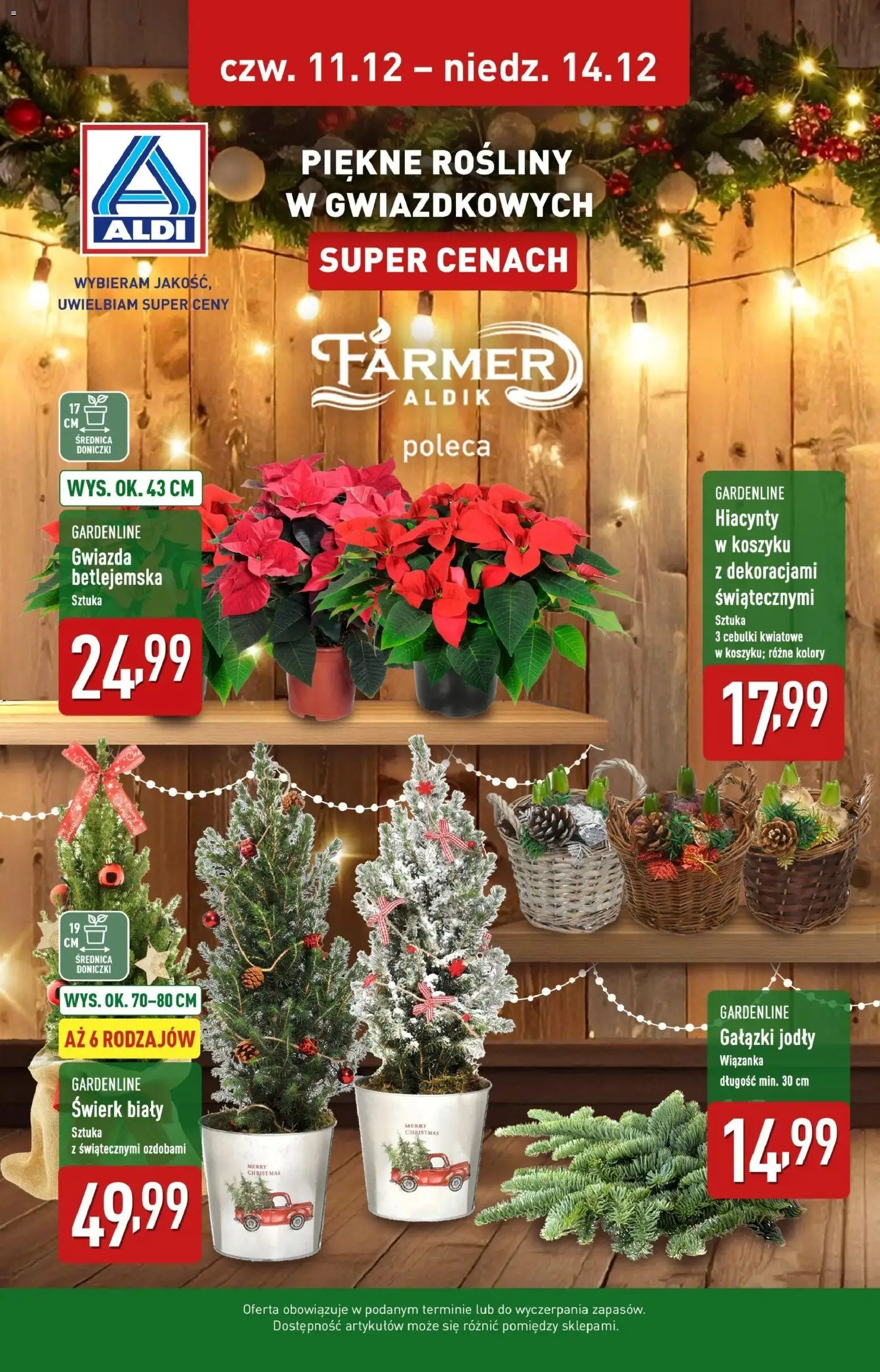 Pogląd gazetki "Piękne rośliny na gwiazdkę w ALDI" ze sklepu Aldi ważnej od 10.12.2025