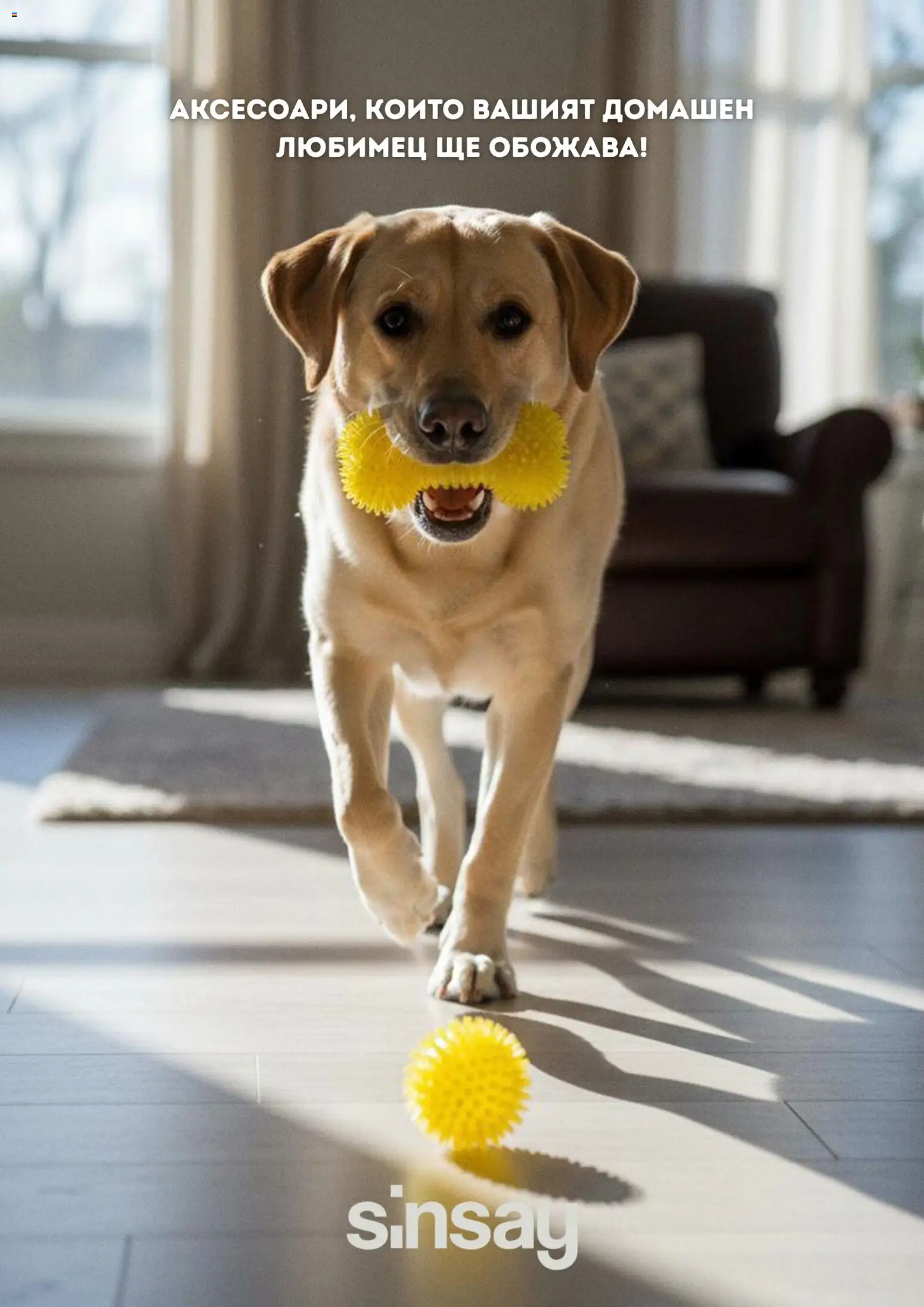 Преглед на Sinsay брошура от магазин Sinsay - Офертата е валидна от 17.04.2026