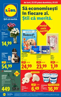 Previzualizarea de cataloage: Lidl Catalog nou valabil de la 23.02.2026