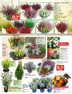 Pregled letka Katalog trgovine Bauhaus vrijedi od 02.10.2025 | Stranica: 3