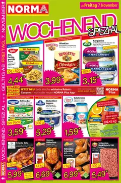 Vorschau der Angebote: Norma Flugblatt gültig ab 03.11.2025 | Seite: 17