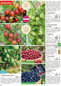 Náhled nabídky: Starkl Katalog podzim 2025 platný od 01.08.2025 | Strana: 18