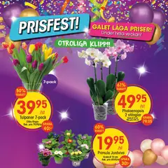 Förhandsgranska reklamblad Aktuella reklamblad EKO från butik EKO gäller från 12/01/2026