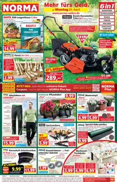 Vorschau von dem Prospekt des Geschäftes Norma, gültig ab dem 20.04.2026