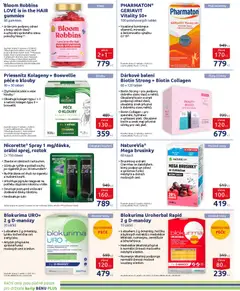 Náhled nabídky: Benu Leták platný od 01.12.2025 | Strana: 13