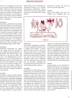 Vorschau der Angebote: Radatz Schmeckt gültig ab 01.11.2025 | Seite: 9