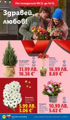 Преглед на Седмична брошура 50 от магазин Лидл - Офертата е валидна от 08.12.2025 | Cтраница: 54