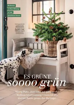 Vorschau der Angebote: Dehner Flugblatt gültig ab 10.10.2025 | Seite: 62