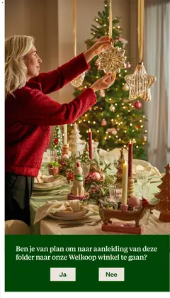 Voorbeeld van Folder van winkel Welkoop geldig vanaf 20-10-2025 | Pagina: 39