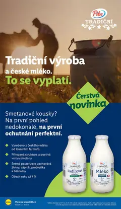Náhled nabídky: Lidl Black Friday platný od 20.11.2025 | Strana: 17