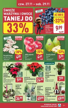 Pogląd gazetki "Gazetka" ze sklepu Aldi ważnej od 24.11.2025 | Strona: 31