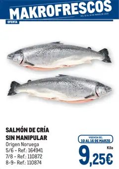 Vista previa del folleto de la tienda Makro válido desde el 10/03/2026 