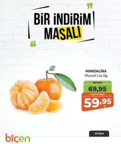 Biçen Market Biçen Market - Bir İndirim MaSalı - meyve 10.03.2026 - Broşürünün önizlemesi