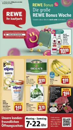 Vorschau von dem Prospekt des Geschäftes Rewe, gültig ab dem 13.10.2025