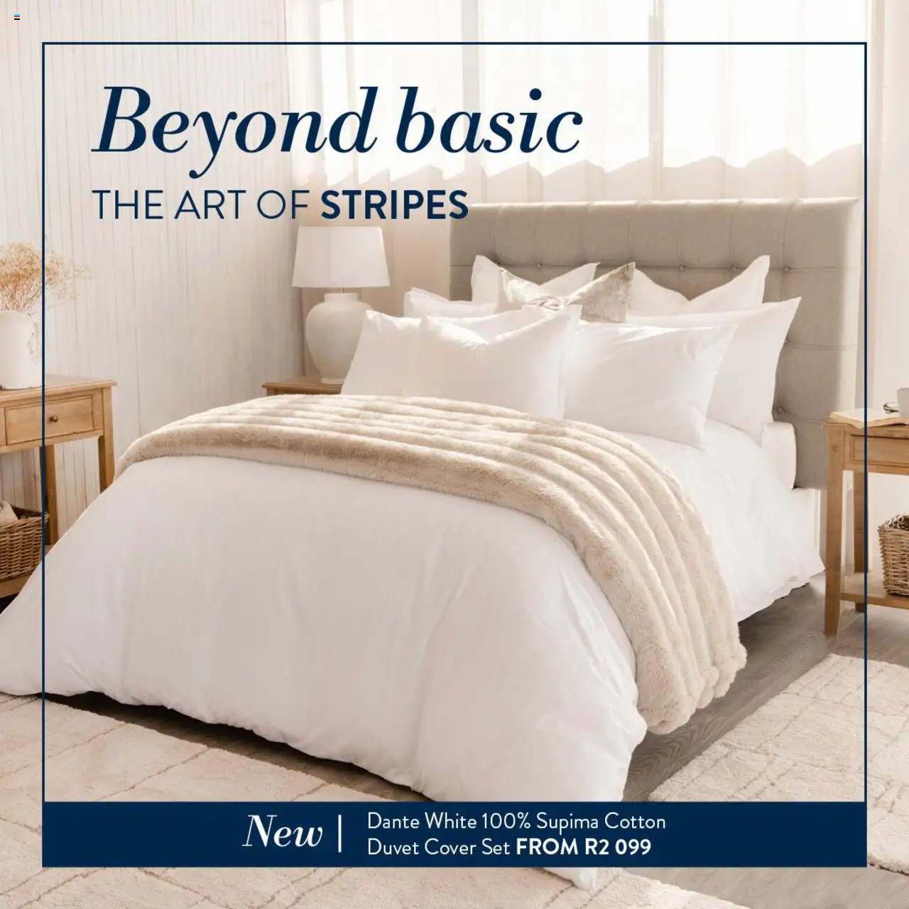 Volpes Beyond Basic The Art of Stripes from from Thursday 02/10/2025 > Promotions