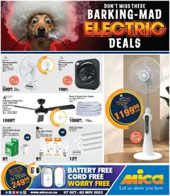 Preview of MICA flyer valid from 07/10/2025