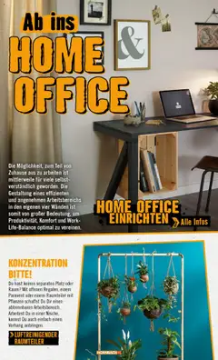 Vorschau von dem Prospekt des Geschäftes Hornbach, gültig ab dem 08.06.2025 | Seite: 34