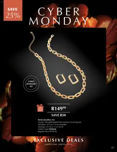 Preview of Justine flyer valid from 08/12/2025 | Page: 13