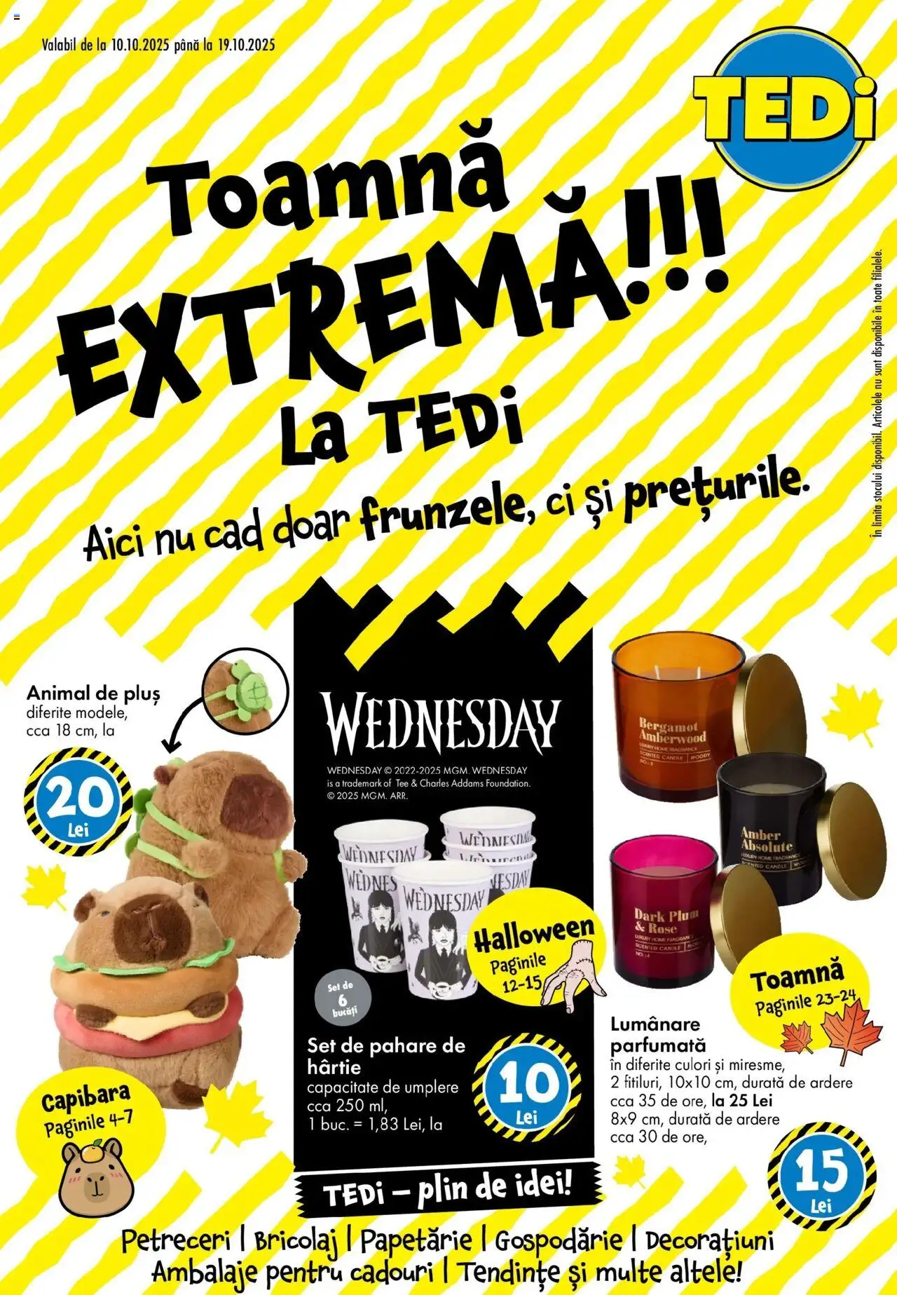 Previzualizarea de cataloage: TEDi Catalog nou valabil de la 10.10.2025 - Plus, Pahare, Lumânare