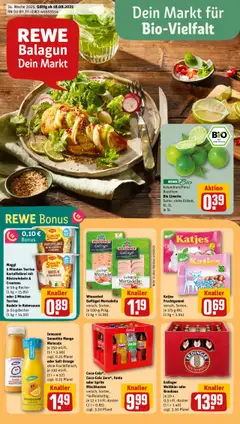 Voorbeeld van DE Folder van winkel Rewe DE geldig vanaf 18-08-2025
