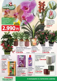 Bauhaus - Akciós újság Bauhaus megtekintése, amely érvényes 2025.12.04.-től | Oldal: 4