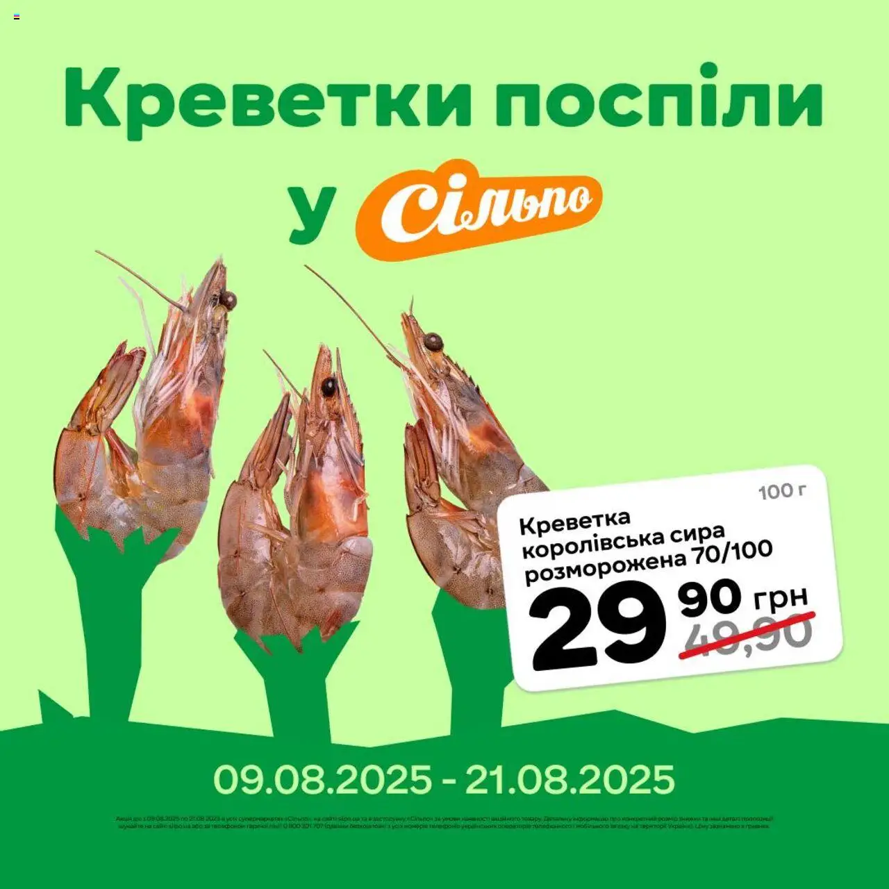 Сільпо каталог (09.08.2025 - 21.08.2025) - сторінка 1