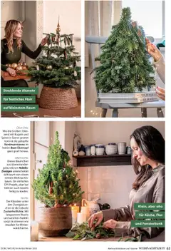 Vorschau der Angebote: Dehner Flugblatt gültig ab 10.10.2025 | Seite: 63