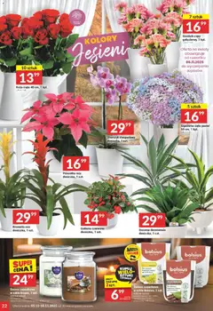 Pogląd gazetki "Gazetka" ze sklepu Twój Market ważnej od 05.11.2025 | Strona: 22