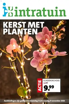 Voorbeeld van Folder van winkel Intratuin geldig vanaf 03-11-2025