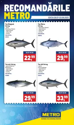 Previzualizarea de cataloage: Metro Catalog - Recomandările valabil de la 28.07.2025