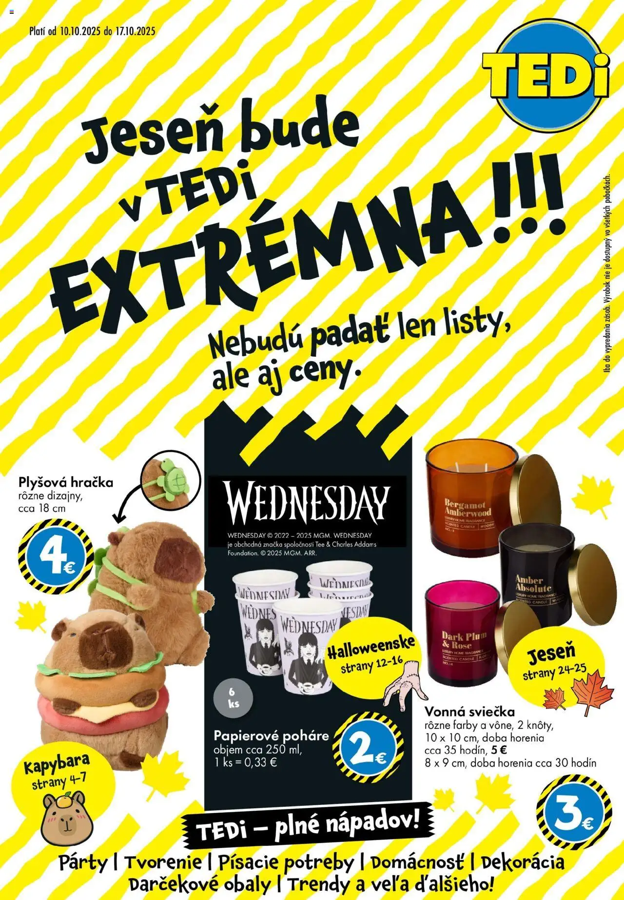 Náhľad TEDi letáku platného od 10.10.2025