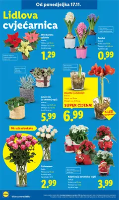 Pregled letka Katalog trgovine Lidl vrijedi od 17.11.2025 | Stranica: 72