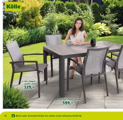 Vorschau von dem Prospekt des Geschäftes Pflanzen-Kölle, gültig ab dem 22.01.2025 | Seite: 16