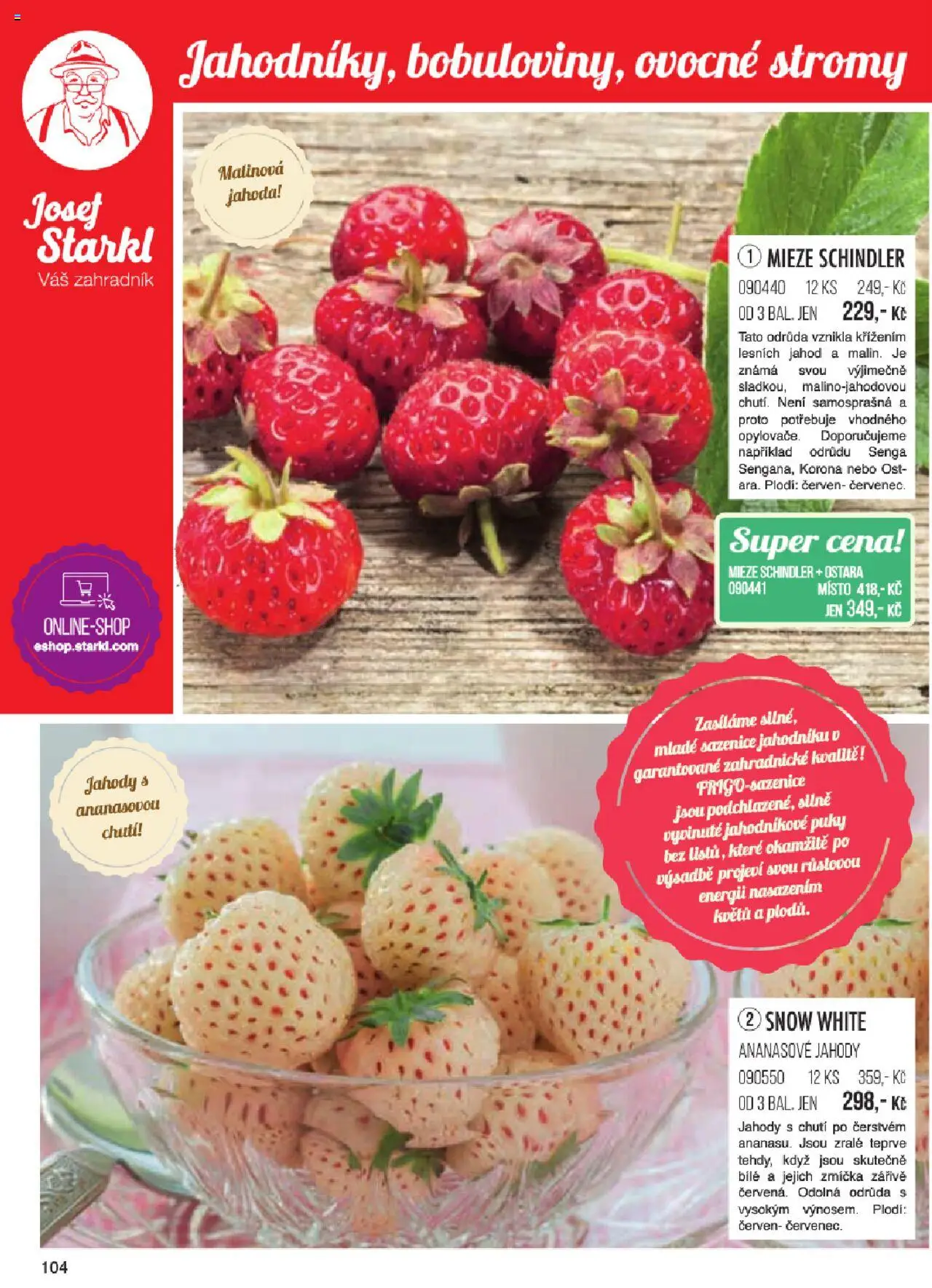  Starkl Katalog jaro 2024 (od pondělí 06.01.2025) - strana 104 - Jahody