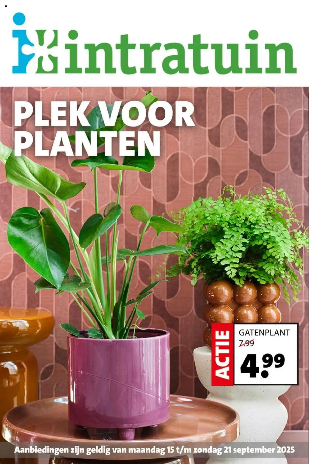 Intratuin shop Folder geldig vanaf 15-09-2025 - Paginanummer 1