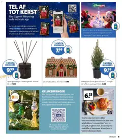 Voorbeeld van Folder van winkel Intratuin geldig vanaf 17-11-2025 | Pagina: 15