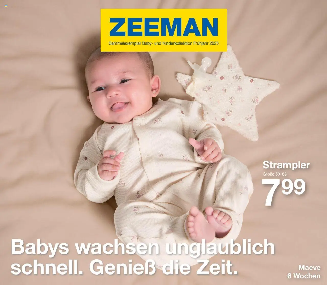 Zeeman Katalog (vom von Montag 03.02.2025)