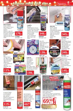 Bauhaus Katalog 29.11.2025 - Broşürünün önizlemesi | Strana: 21