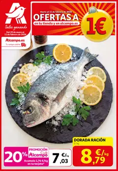 Vista previa del folleto de la tienda Alcampo válido desde el 29/01/2026 
