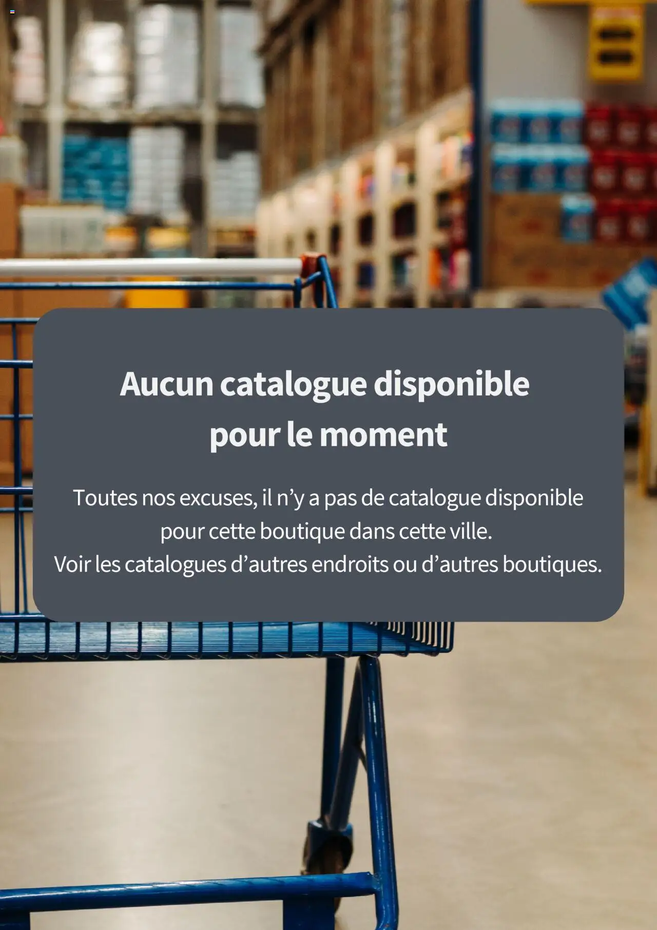 Prévisualisation de Catalogue du magasin Supeco formulaire valide 25/01/2026