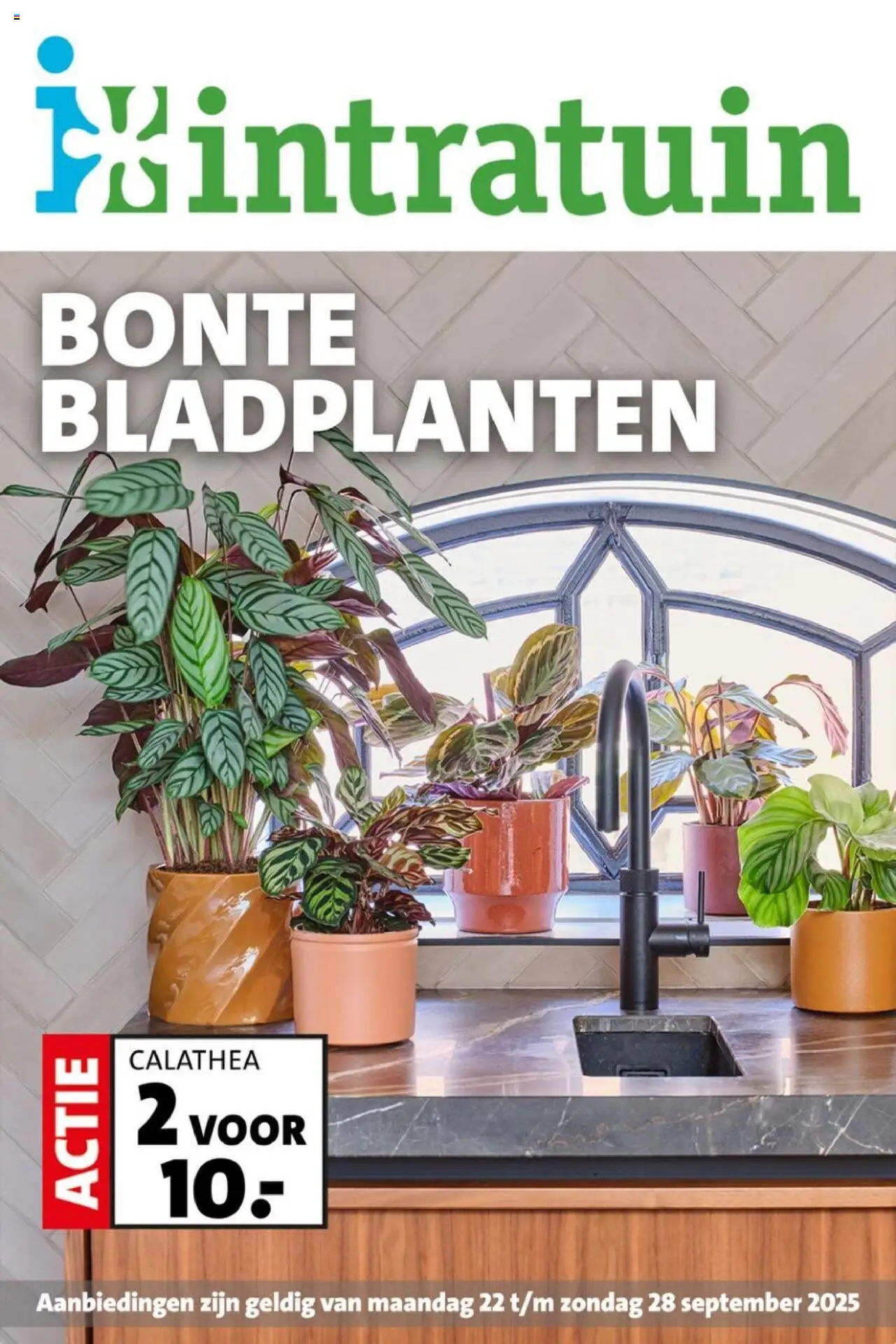 Intratuin shop Folder geldig vanaf 22-09-2025 - Paginanummer 1