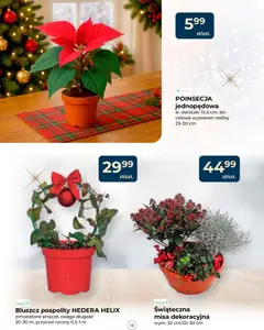 Pogląd gazetki "Gazetka" ze sklepu Mrówka ważnej od 04.12.2025 | Strona: 15