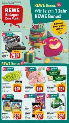 Voorbeeld van DE Folder van winkel Rewe DE geldig vanaf 29-12-2025