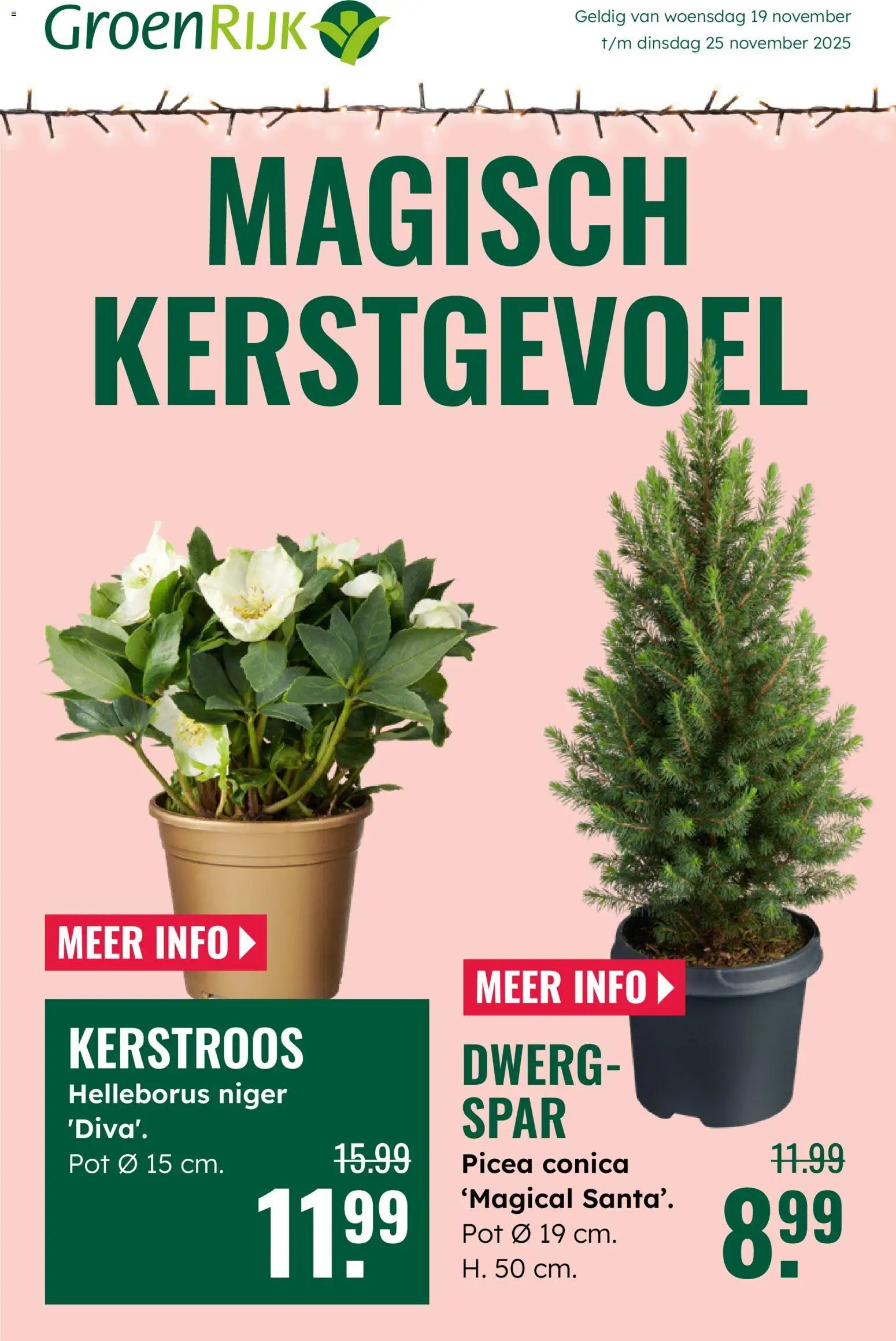 Voorbeeld van Folder van winkel GroenRijk geldig vanaf 12-11-2025