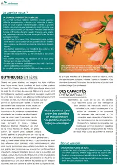 Prévisualisation de Catalogue du magasin Mr. Bricolage formulaire valide 22/09/2025 | Page: 94