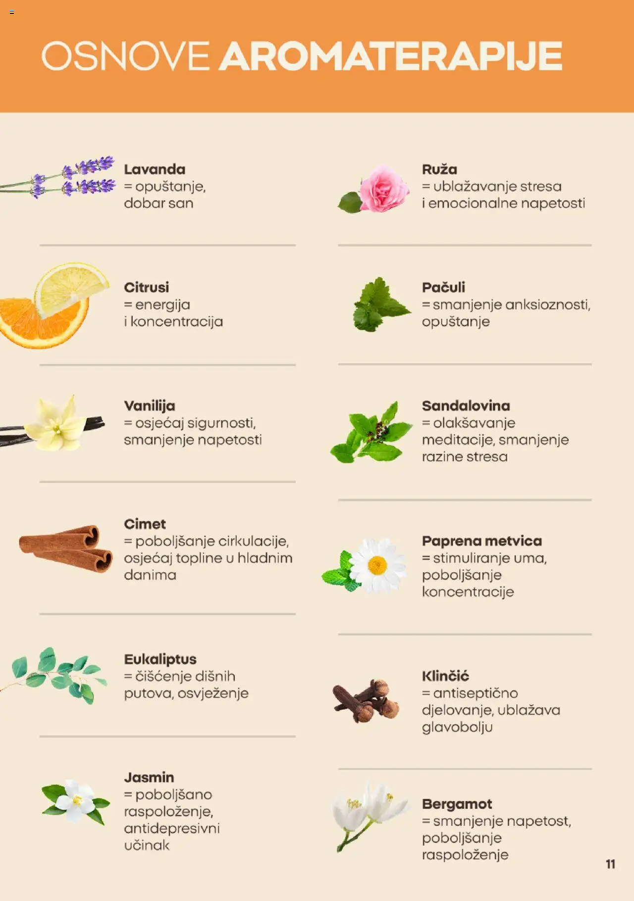 Pregled letka Katalog trgovine Pepco vrijedi od 2025.10.01