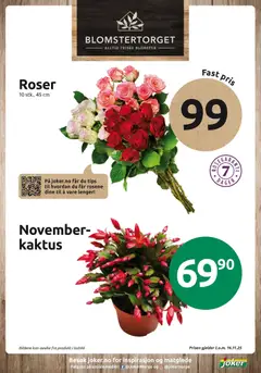 Forhåndsvis Kundeavis fra butikk Joker gyldig fra 11/11/2025 | Side: 21